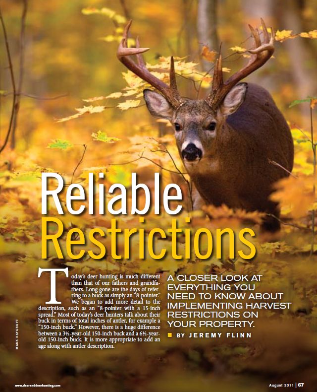 DDH | Deer & Deer Hunting Conent Creation by Jeremy Flinn