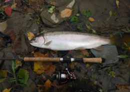Fishing Marketing and Fishing Social Media
