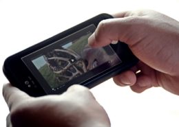 Hunting and Fishing Marketing | Appealing to Google and your Consumer